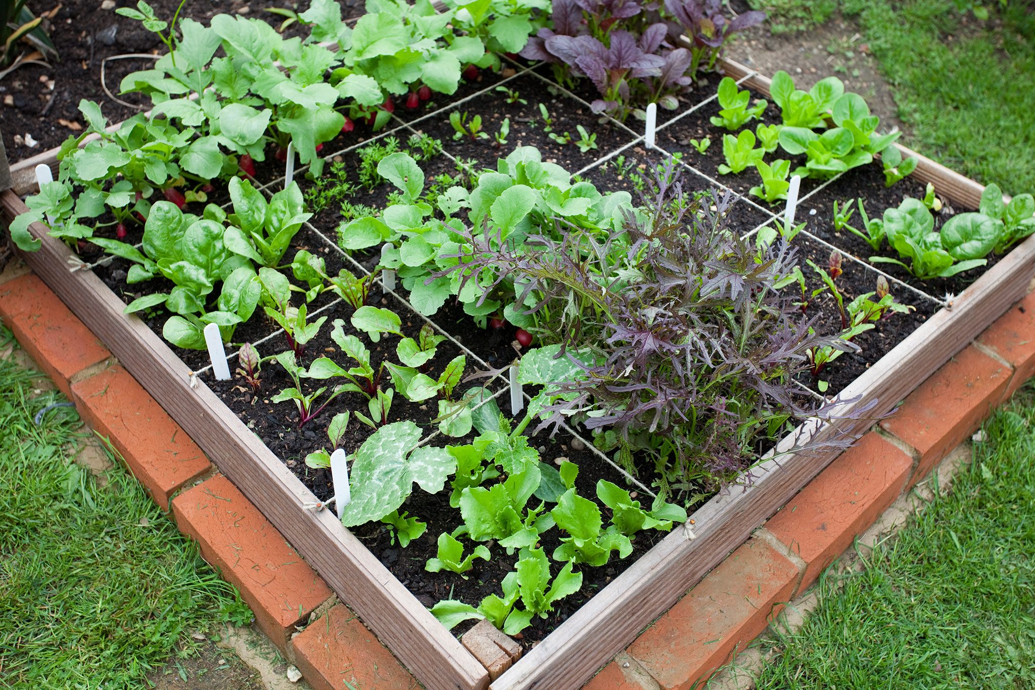 Organic farming